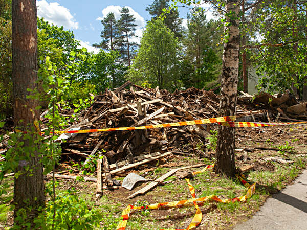 Munckinkatua